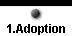 1.Adoption